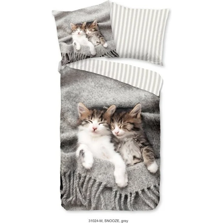 Pure Microfaser Bettwäsche 135 X 200 cm + 1- 80 X 80 cm Snooze kitten cats grau – Bild 4