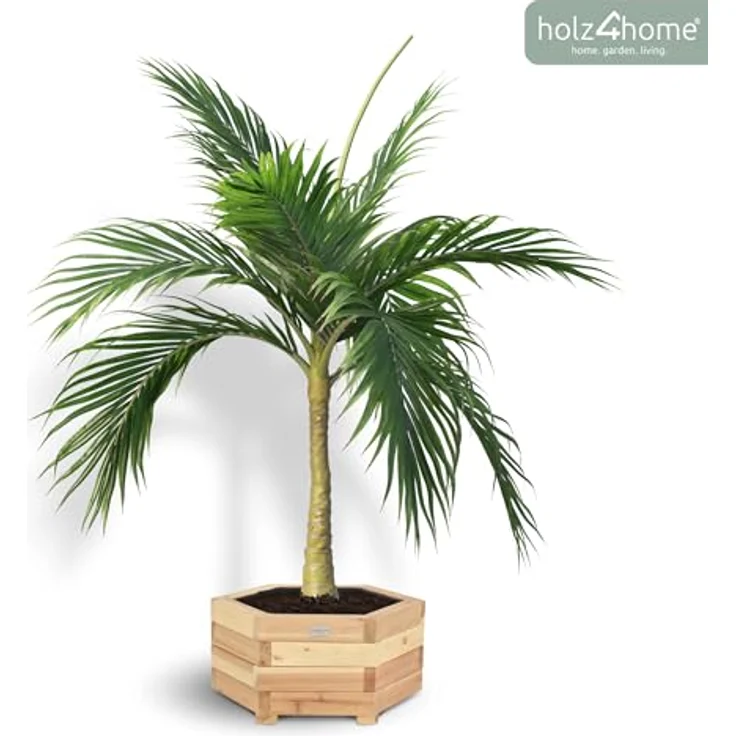 holz4home® Pflanzkübel 6-eckig aus Tannenholz I Outdoor Blumenkübel für Garten Balkon, inkl. Gartenhandschuhe & Vlies – Bild 8