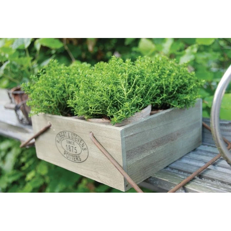 3 Aged Terracotta Blumentöpfe im Drahtkorb – Bild 2