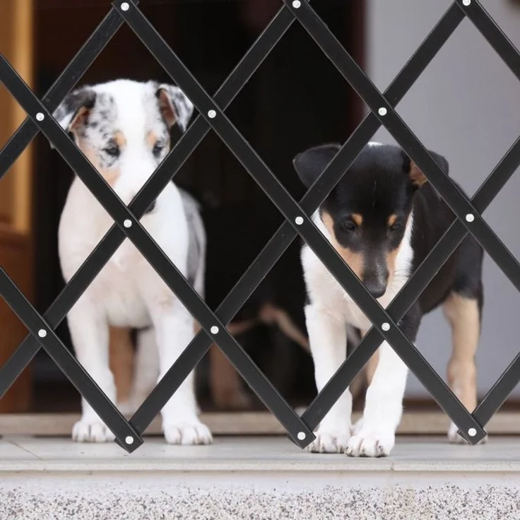 Relaxdays Ausziehbares Hundeabsperrgitter schwarz – Bild 5