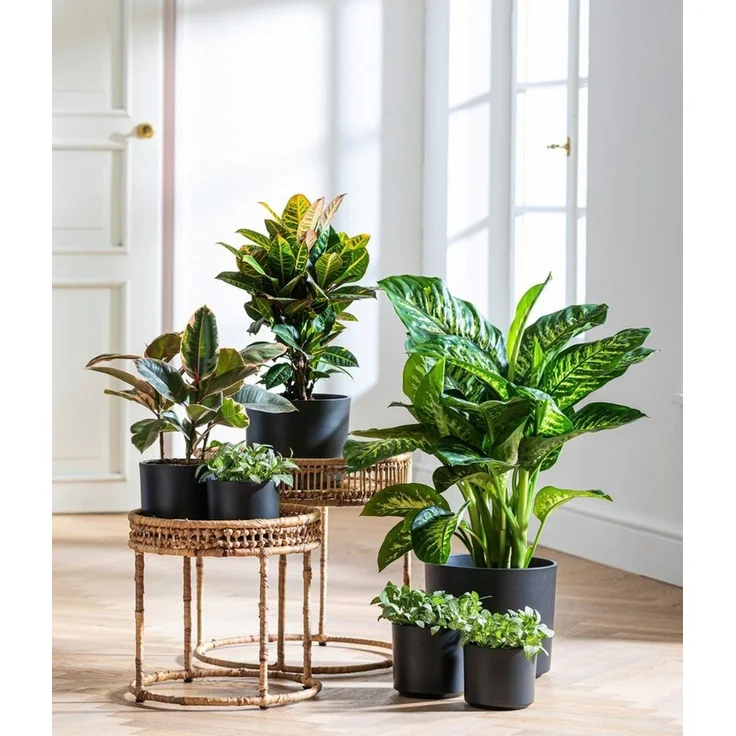 Dehner Übertopf Nele, Ø 29 - 32 cm, Höhe 24 - 27 cm, Keramik – Bild 2