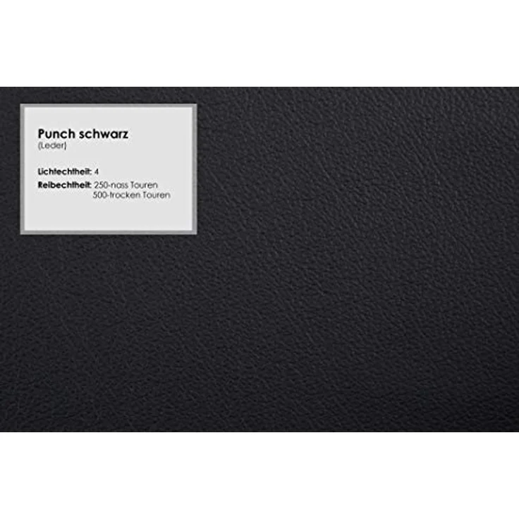 Cavadore Wohnlandschaft Castiel mit Federkern / Sofalandschaft mit XL-Longchair, Sitztiefenverstellung, Kopfstützen und satinierten Metallfüßen / 363x89-104x223 / Echtleder, Schwarz – Bild 9