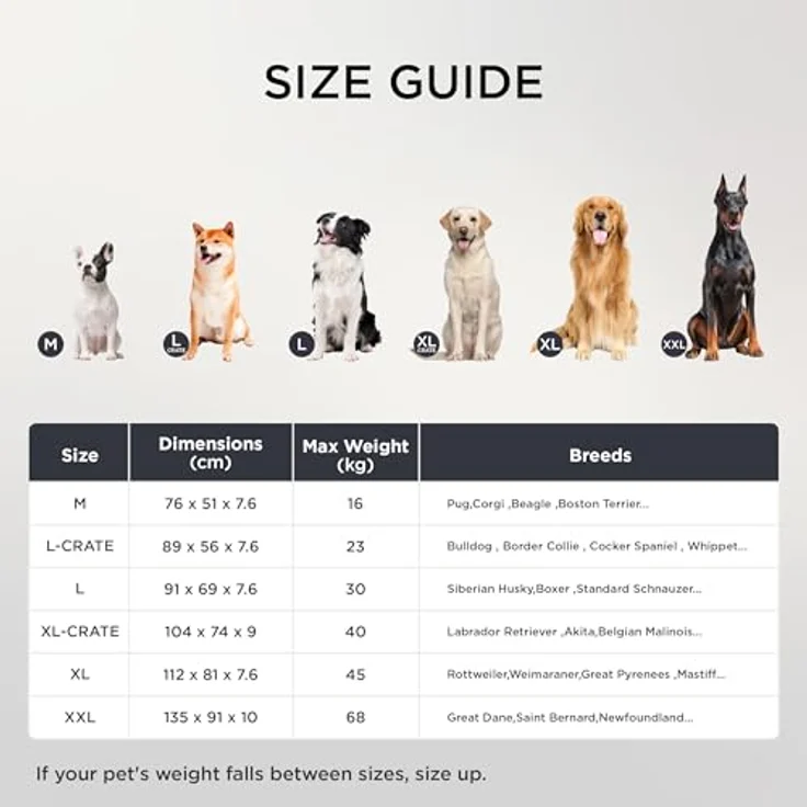 BEDSURE orthopädisches Hundebett Grosse Hunde - 112 x 81 x 7.6 cm Hundekissen flauschig Hundematte waschbar Hundematratze in dunkelgrau für große Hunde – Bild 8