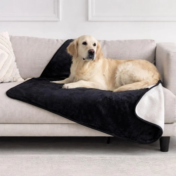 Dreamzie - wasserdichte Hundedecke Flauschig - 80x100cm - Schwarz