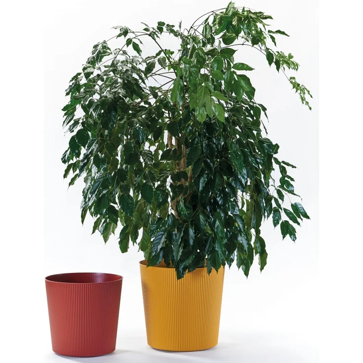 Bl.-Topf FYRE 40cm mango – Bild 4