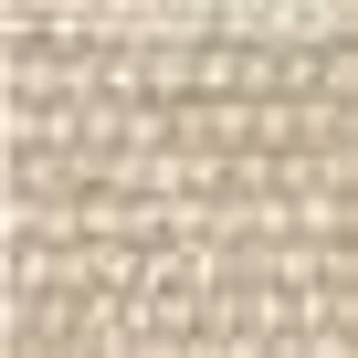 SCHÖNER WOHNEN-Kollektion Fußmatte Miami 002, rechteckig, Höhe: 7 mm, Schmutzfangmatte, waschbar – Bild 3