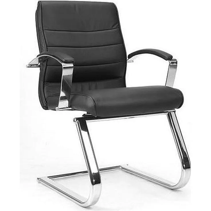 Komfort Freischwinger Besucherstuhl TD Luxe 15 Echt Leder -Express 06 25-