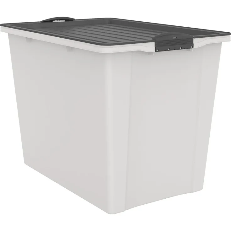 Rotho Aufbewahrungsbox Compact mit Deckel & Rollen 57 x 39,5 cm 70 L mistletoe weiß