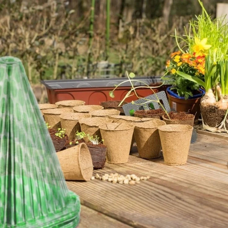 Grüner Pflanzenhut 240 Stück 10049261 – Bild 5