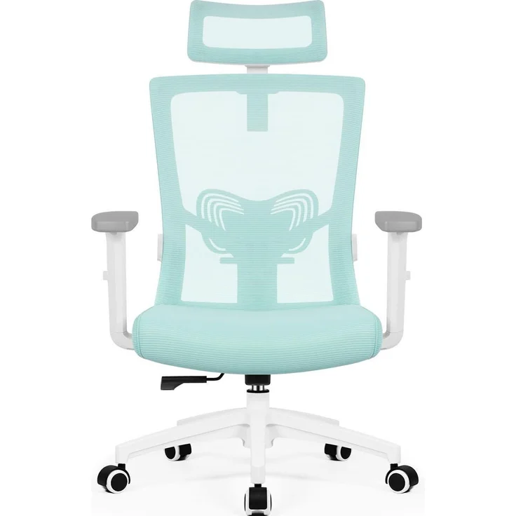 Daccormax Bürostuhl Ergonomisch, mit verstellbarer Kopfstütze, Lendenwirbelstütze & Wippfunktion, Mesh türkis, 70 x 70 x 128 cm – Bild 1