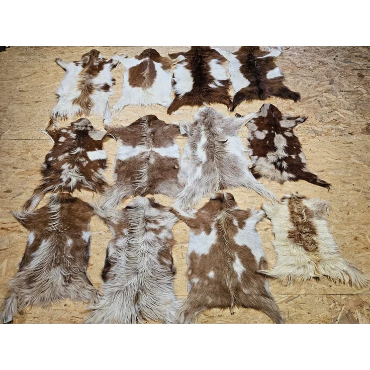 Provellus Fellteppich Ziegenfell Naturfarben Unikat Fellteppich 80-100cm, 80cm-100cm lang 2. Wahl – Bild 2