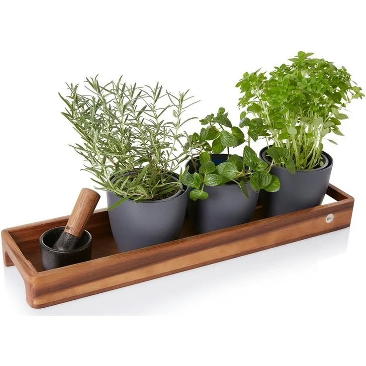 AdHoc Tablett SERVE SLIM, Akazienholz, Walnussholz, (1-tlg), hochwertiges Gewürz-, Getränke- oder Dekotablett 50x13 cm – Bild 2