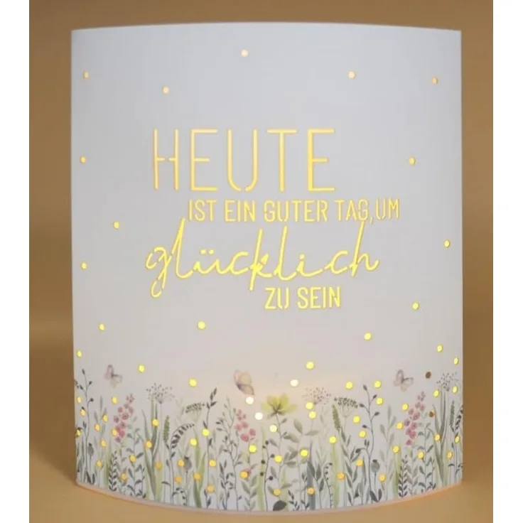 Deko Lampe Leuchte Batterie Poesielicht für Dich la vida Geschenk Wiese 6295921