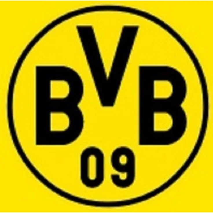 BVB Kopfkissen BVB-Kissen Südtribüne, Füllung: 100 % Polyester, Bezug: 100 % Polyester, Rückenschläfer – Bild 4