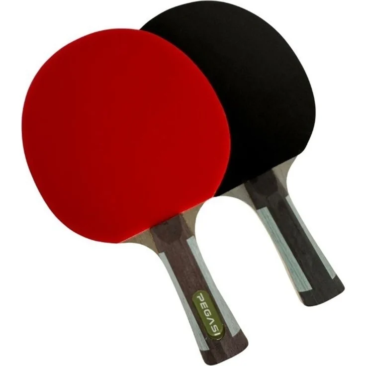 Pegasi Tischtennisschläger 6 Sterne Expert