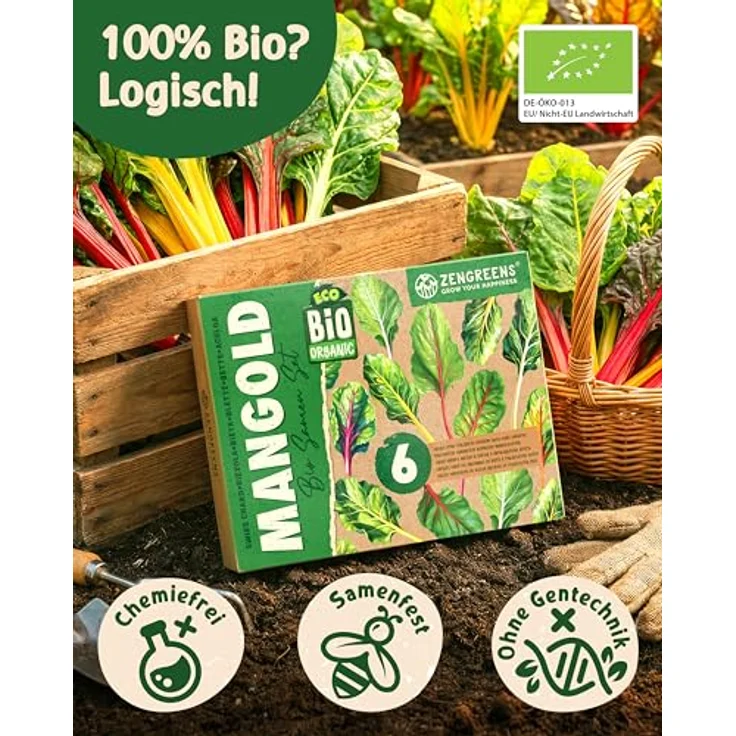 ZenGreens® - Bio Mangoldsamen im 6er Set - 6 Mangold Samen für den einfachen Anbau im Garten, Balkon oder Hochbeet - Pflanzensamen - Saatgut – Bild 4