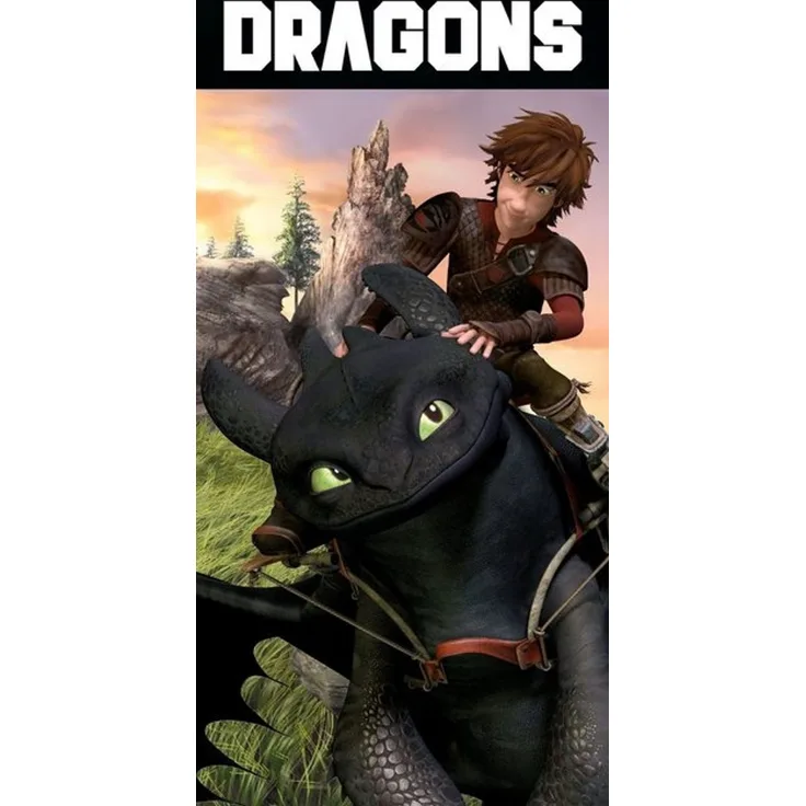 DreamWorks Strandtuch How To Train Your Dragon Badetuch Handtuch Strandtuch 70 x 140 cm