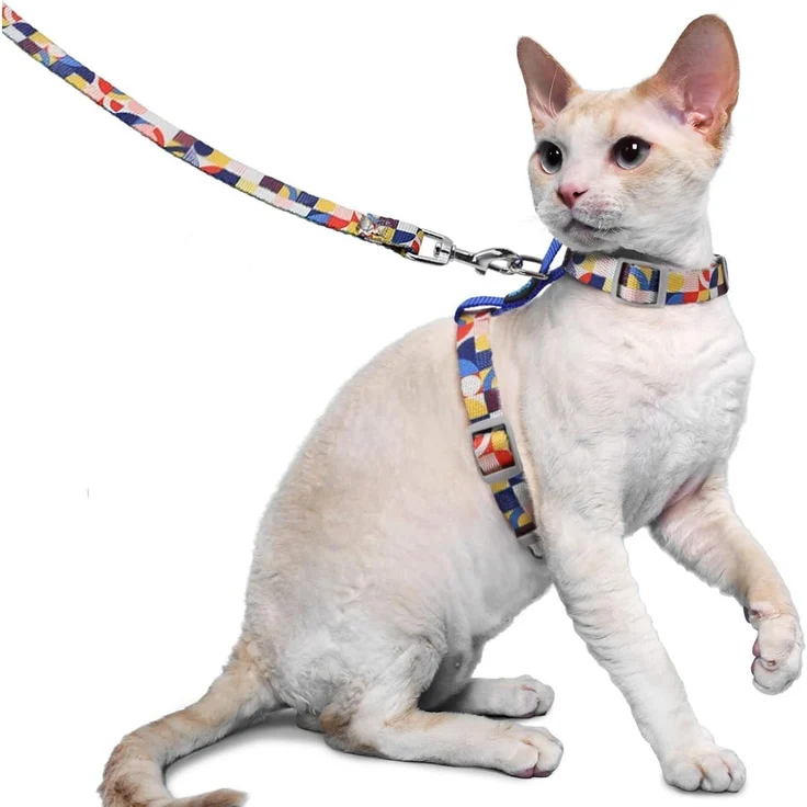 Katzen Geschirr Leine Ausbruchsicher Katzenweste verstellbar Blau M – Bild 1