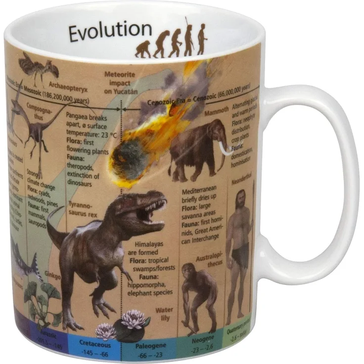 Wissensbecher - Evolution (Englisch) - Becher - 490 ml