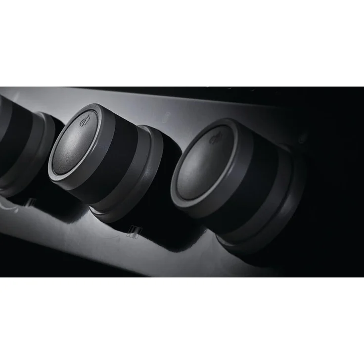Napoleon Gasgrill Rogue 425-2 schwarz – Bild 3