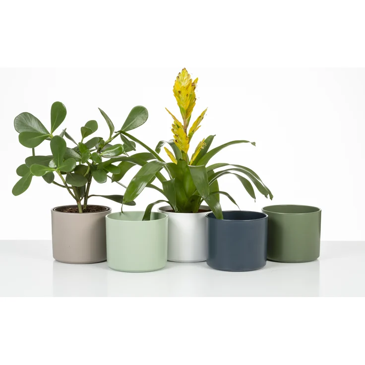 Scheurich , Blumentopf aus Keramik, Farbe: Panna, 24 cm Durchmesser, 22cm hoch, 12,526 l Vol. – Bild 3
