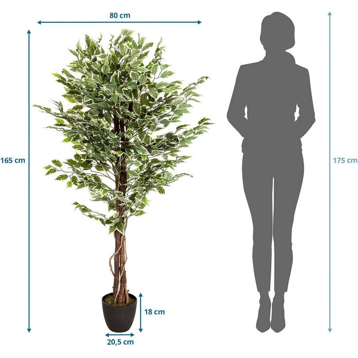 bümö plants Ficus Kunstbaum - Täuschend echte Birkenfeige, geruchlose Premium Kunstpflanze für lebendiges Ambiente - authentische, künstliche Pflanzen als Deko für's Wohnzimmer, Büro & mehr, BUP-ficus – Bild 2