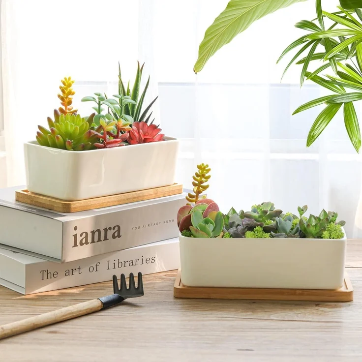 T4U 16.5CM Keramik Sukkulenten Töpfe Kaktus Pflanze Blumentöpfe Weiß 2er Set – Bild 3