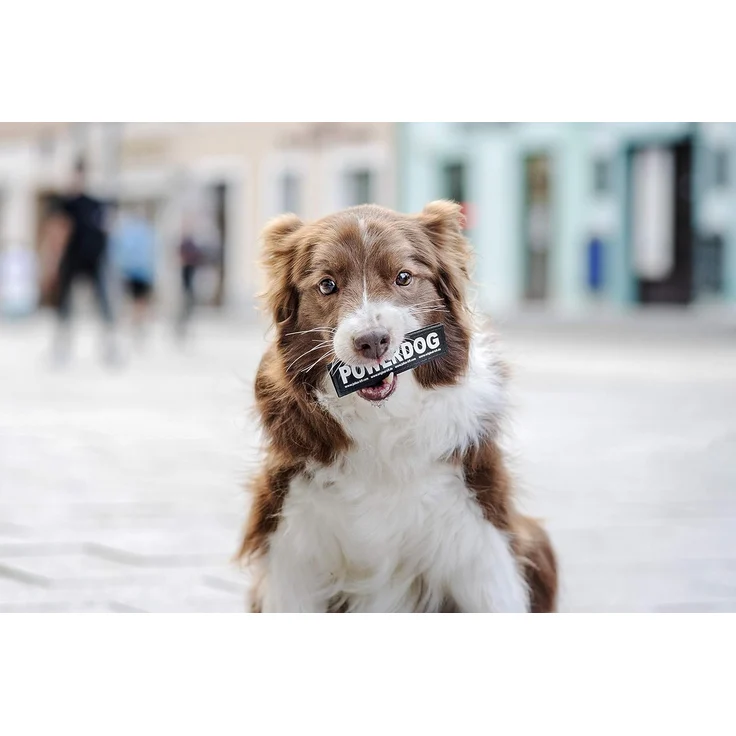 Julius-K9 Hunde-Powergeschirr 2 Klettsticker "Happy" – Bild 3