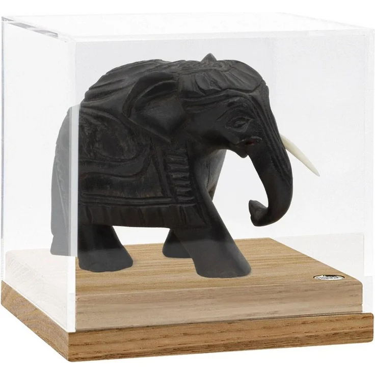 Safe-Album Vitrine SAFE Acryl-Vitrinen mit Eichenboden Schaukasten 156 x 156 x 167 mm – Bild 2