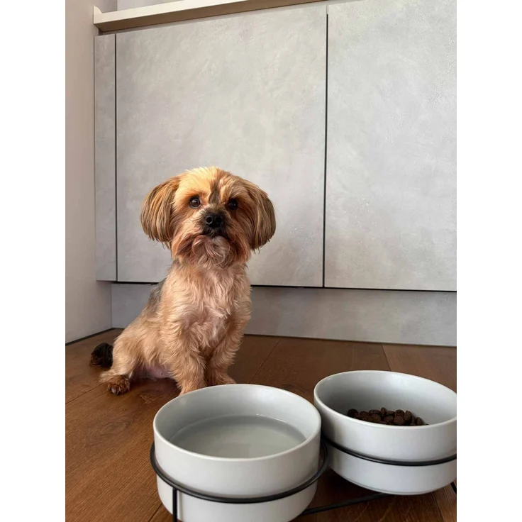Ritzenhoff & Breker Taro Hunde-Napfset ø 17 cm mit Unterlage – Bild 6