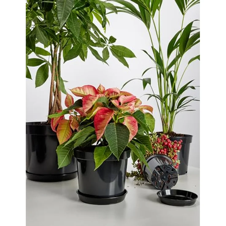 Garronda Blumentopf Kunststoff rund Pflanztopf Kräutertopf Anzuchttopf für Garten GD-0025 (1 St) – Bild 6