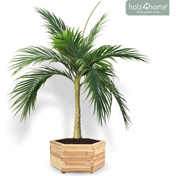 holz4home® Pflanzkübel 6-eckig aus Tannenholz I Outdoor Blumenkübel für Garten Balkon, inkl. Gartenhandschuhe & Vlies – Bild 8