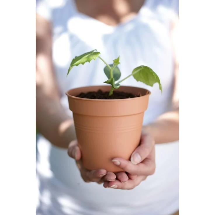 Elho Pflanztopf Green Basics Ø 15 x 14 cm terracotta – Bild 8