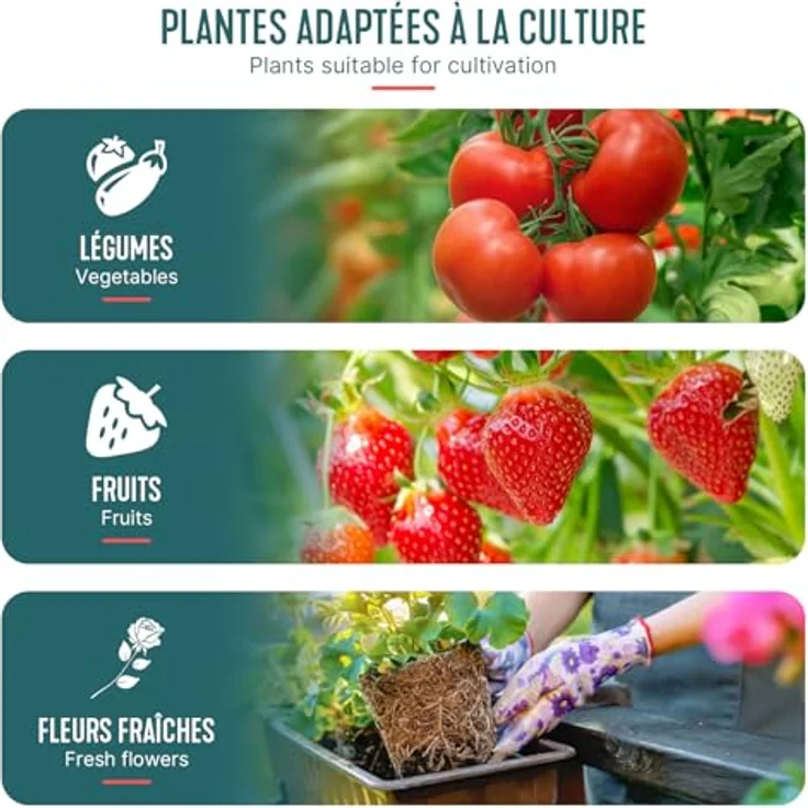VOUNOT Gewächshaus Foliengewächshaus 100 x 50 x 150 cm, Schrägdach Tomatengewächshaus Stabil Tomatenhaus für Gemüse, Blumen & Obst, Verstärkte PE-Folie 135g/m², Grün – Bild 7