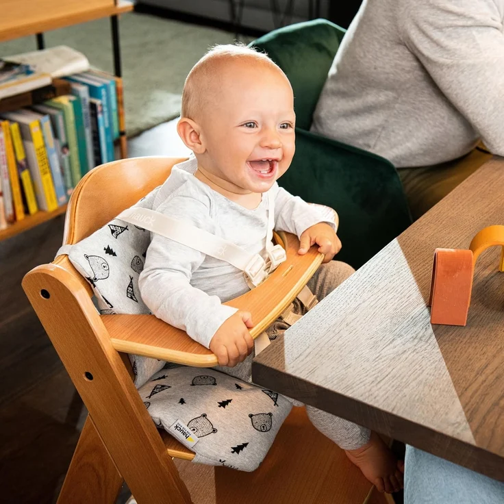 Hauck Kinder Hochstuhl Alpha+ - Mitwachsender Holz Babystuhl (FSC zertifiziert), Kinderhochstuhl ab 6 Monate, verstellbar, mit Schutzbügel, Schrittgurt und 5-Punkt-Gurt - Schwarz – Bild 2