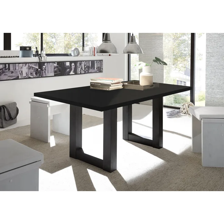 Esszimmertisch Eila 8 200 x 100 x 75 Esstisch Schwarzstahl 13383-200