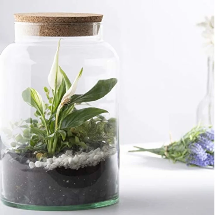 Halboffene 7L Terrarium Flasche aus recyceltem Glas mit Korkverschluss – Bild 6