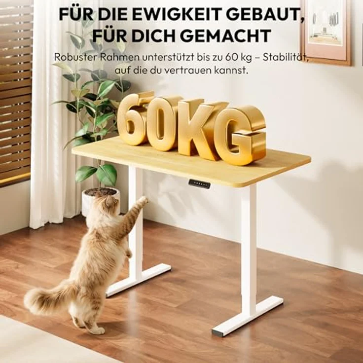 SANODESK Höhenverstellbarer Schreibtisch KOMPLETTE TISCHPLATTE Schreibtisch Höhenverstellbar Elektrisch Ergonomischer Steh-Sitz Tisch Computertisch für Heimbüro Homeoffice 120x60 cm(ahorn) – Bild 6