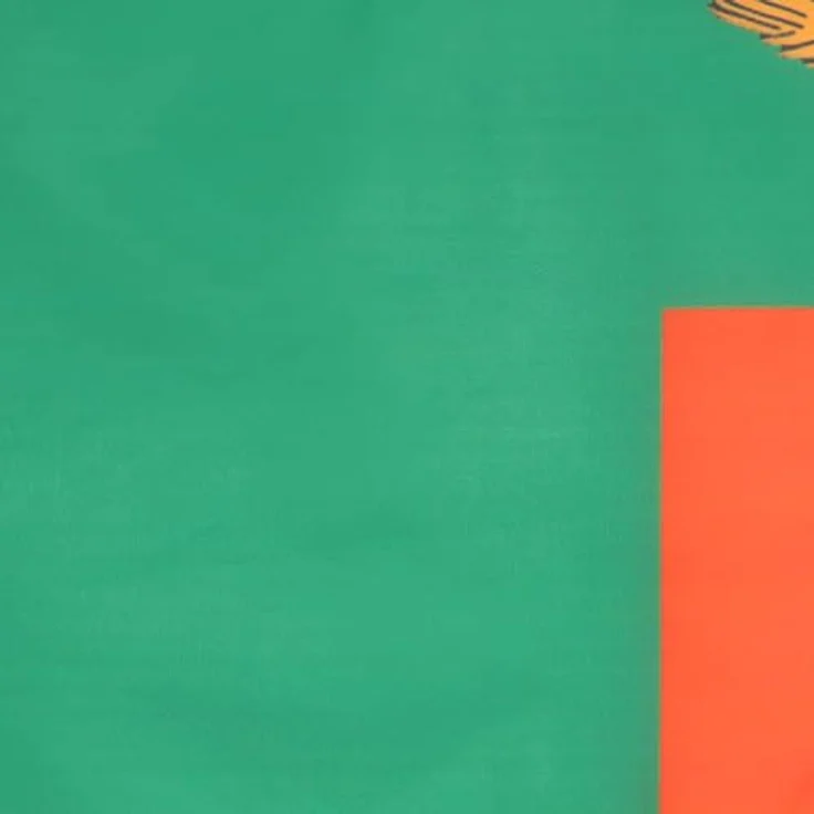 AZ FLAG Flagge Sambia 45x30 cm Republik Sambia Polyester 100D Kordeln – Bild 3