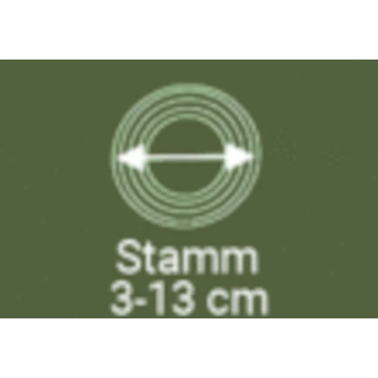 Baumst. ProNature3 300 cm 100% recyceltem KS WT3,0L – Bild 6