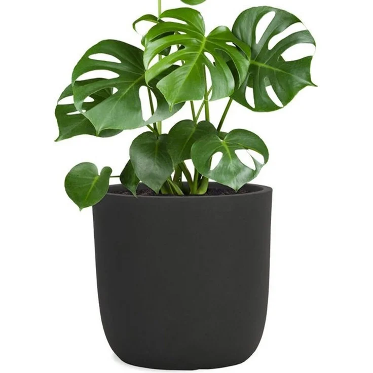 Pflanzwerk® Pflanzkübel CUP Premium Fiberglas Blumenkübel Frostbeständig mit Lotus-Effekt, Lotus-Effekt - Handgefertigt - Rund - Frostbeständig – Bild 4