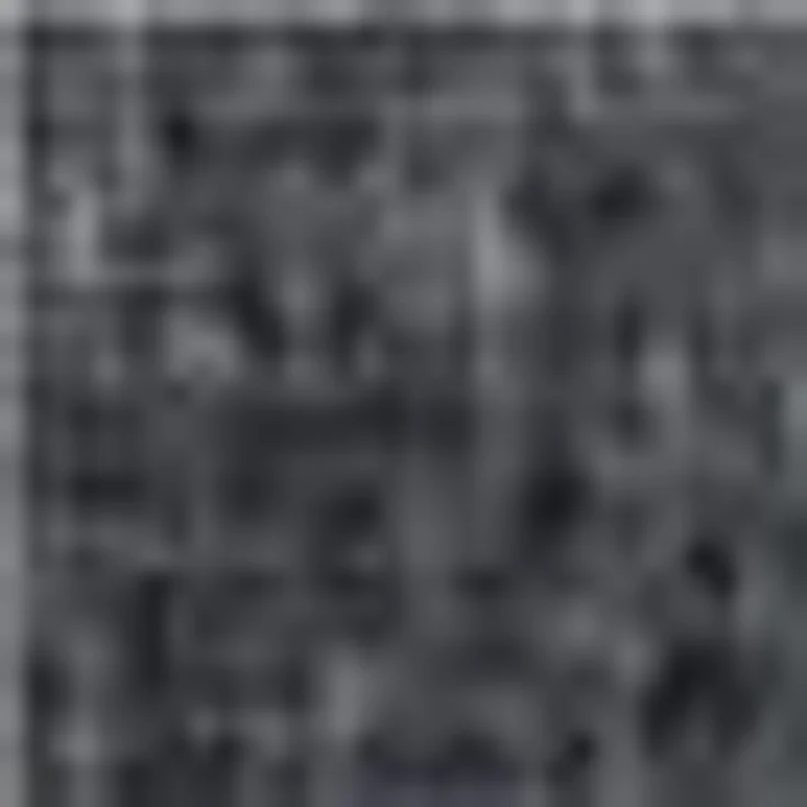 SCHÖNER WOHNEN-Kollektion Fußmatte Miami 003, rechteckig, Höhe: 7 mm, Schmutzfangmatte, waschbar – Bild 3