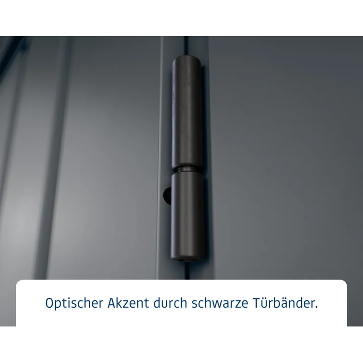 Hörmann Ecostar Metall-Gerätehaus "Euroline Trend" mit Flachdach EFD 5, anthrazitgrau, 214 x 214 cm,1-flüglige Tür – Bild 6