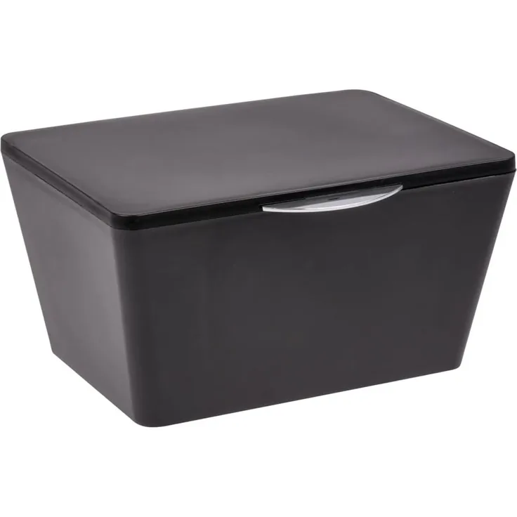 AmeliaHome Aufbewahrungsbox BRASIL Organizer - schwarz WENKO