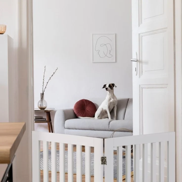 Freistehendes Hundeabsperrgitter – Bild 6
