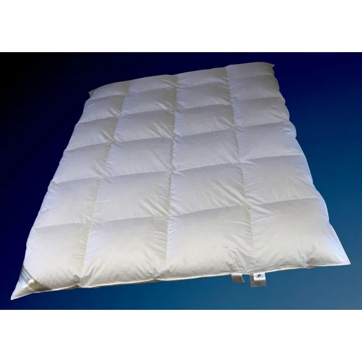 Betten Hofmann Winter 8cm Hochsteg Kassetten Daunenbett Daunendecke 4x6 155x220 100% Daunen