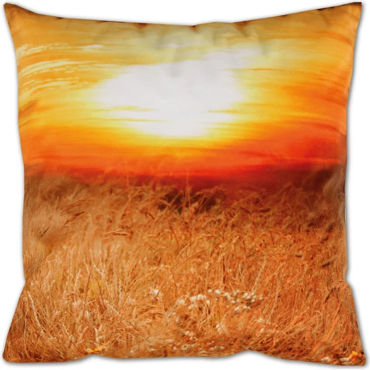 Bestlivings Dekokissen mit Fotodruck ca. 40x40cm, Beidseitig bedruckt, in vielen Motiven verfügbar ( Design: LÖWE / SONNENUNTERGANG ) – Bild 2