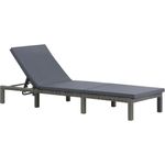 vidaXL Sonnenliege mit Auflage Poly Rattan Anthrazit 47752