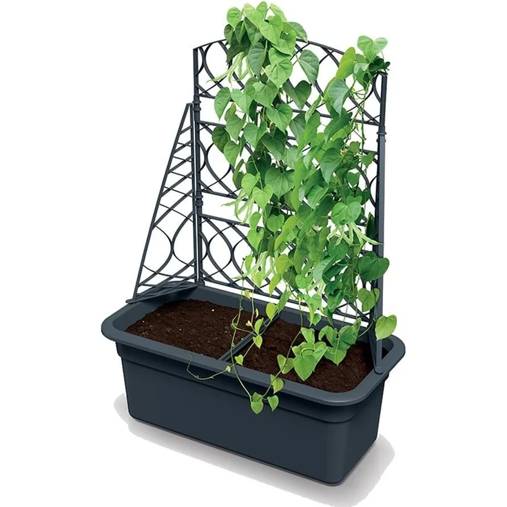 Prosperplast Blumenkasten mit Pergola (Bloma), mit Rankhilfe, wetterbeständig, Garten, Terrasse – Bild 2