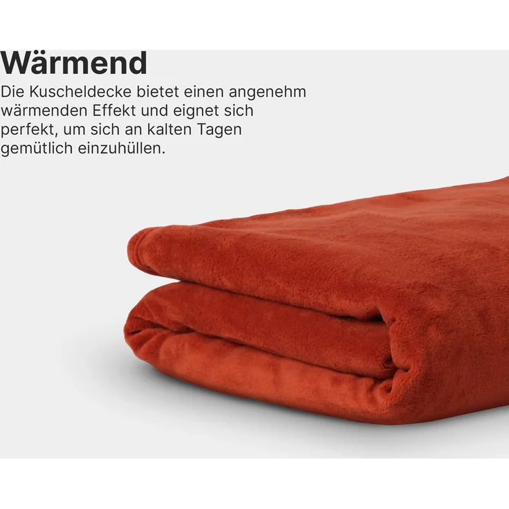 Kuscheldecke Mikrofaser Flausch 220x240cm - Terrabraun (R) – Bild 6